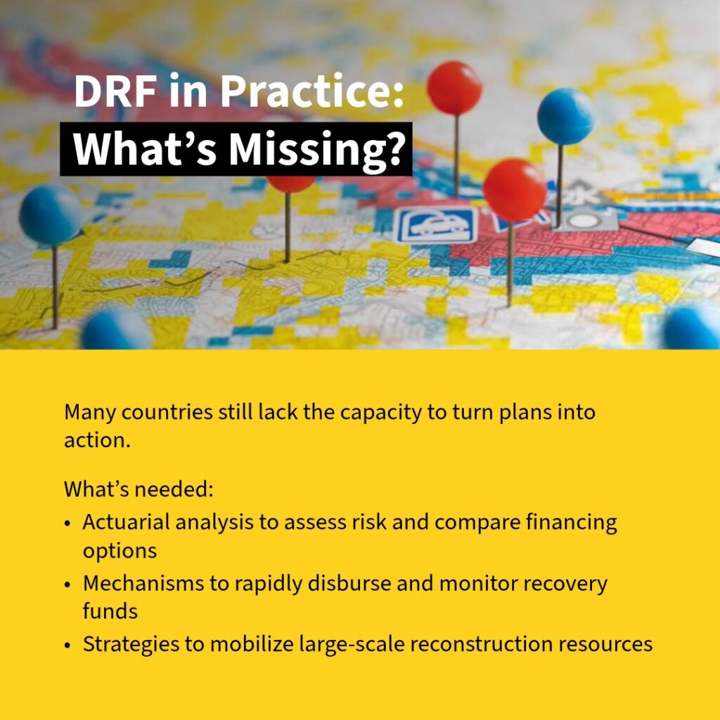 Disaster Risk Financing-4